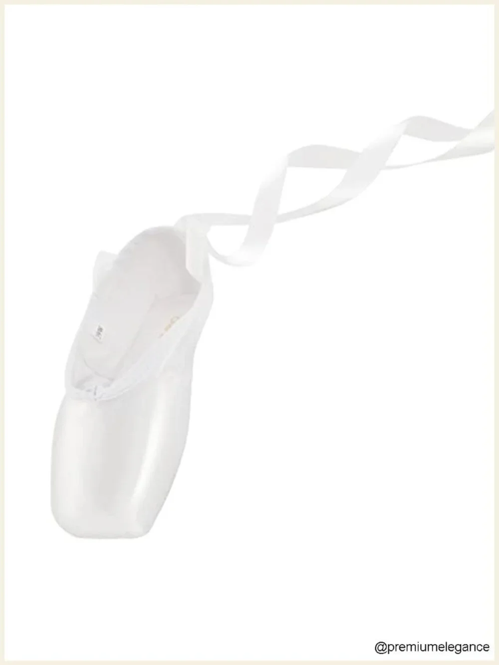 Professional Ballet Pointe Shoes with Bag and Toe Pads